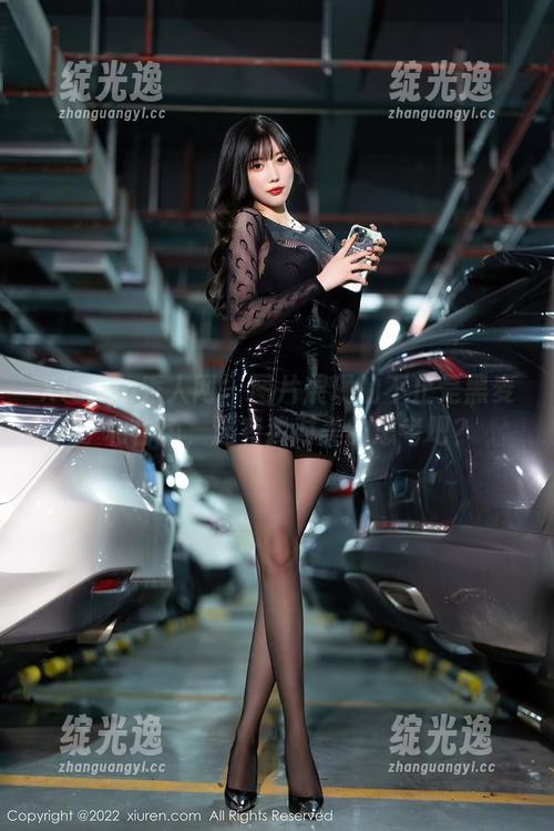 Xiuren秀人网 - 图片展现的不止是黑麦子和白色，还有我对美的思考吧？